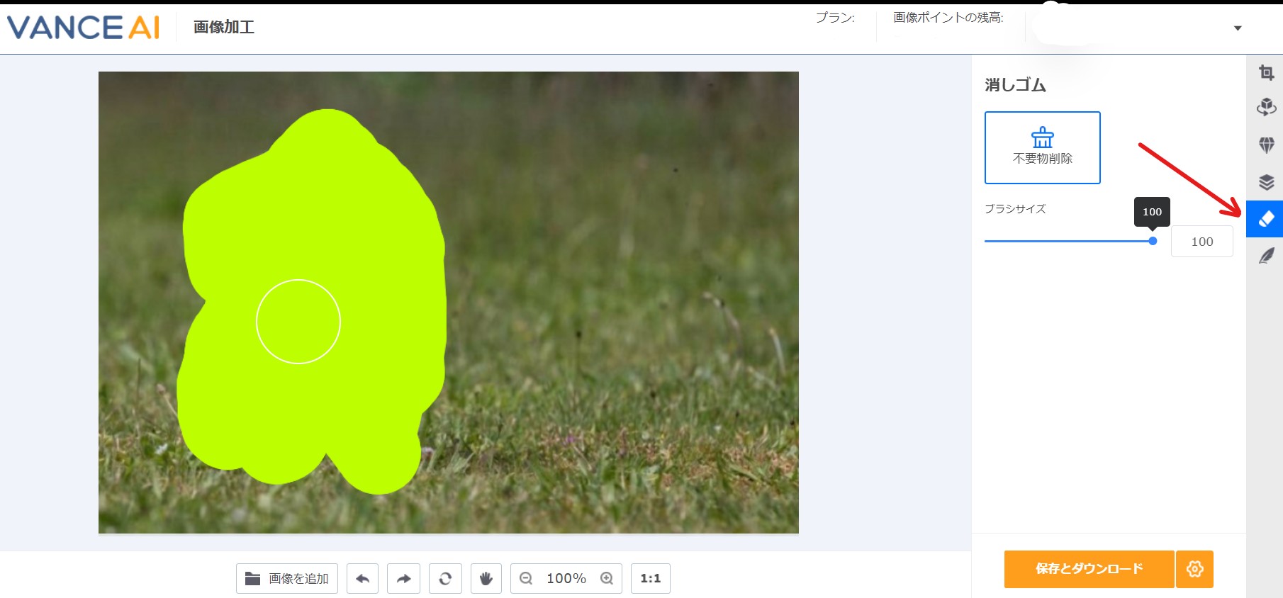 VanceAI 消しゴム